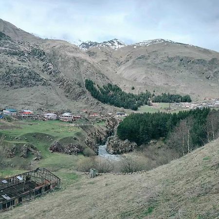 Vardisubani Villa Kazbegi Exteriör bild
