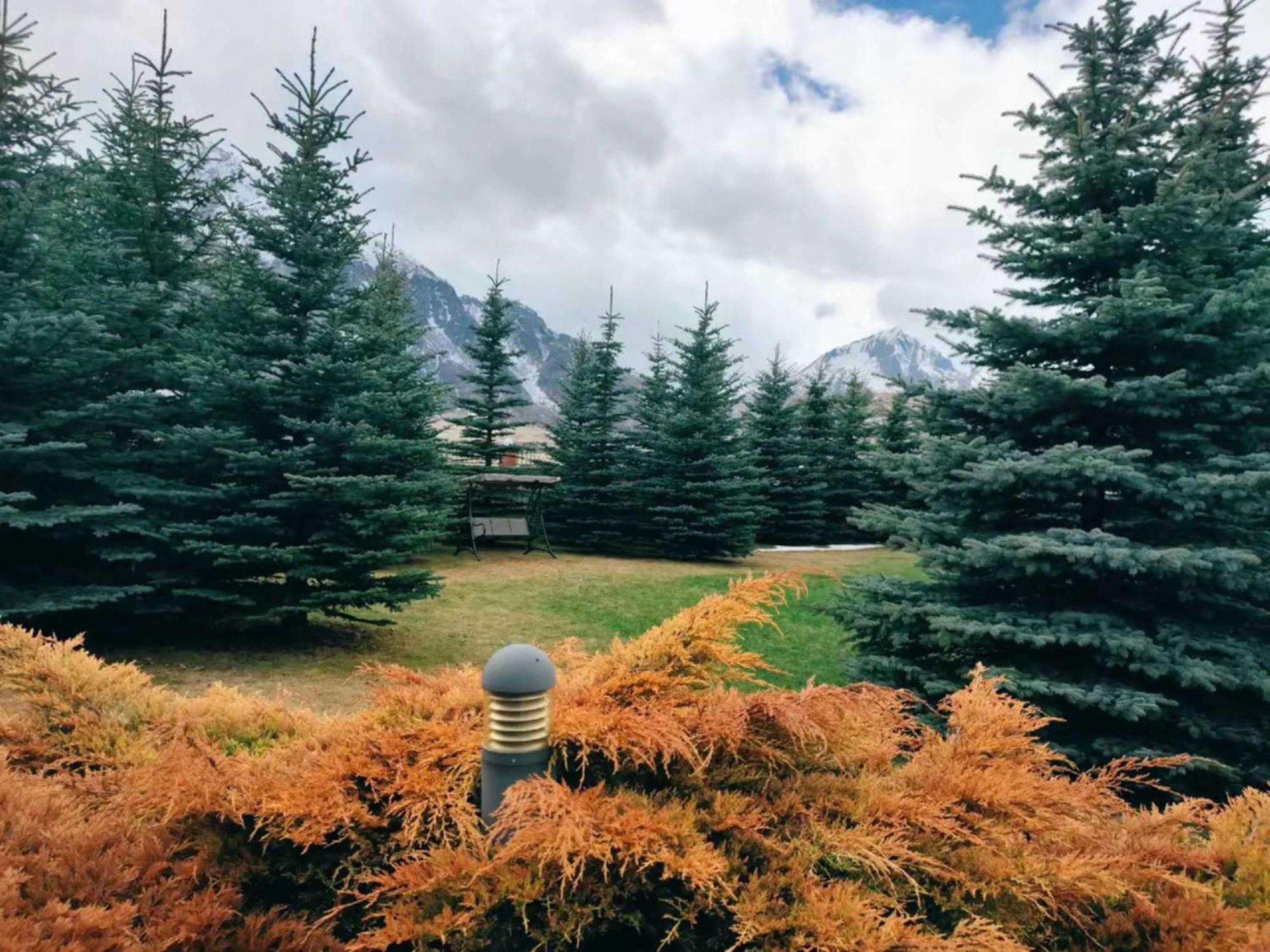 Vardisubani Villa Kazbegi Exteriör bild